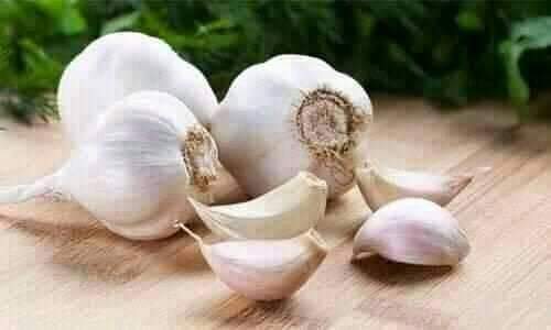 د هوږې په اړه ګټور معلومات